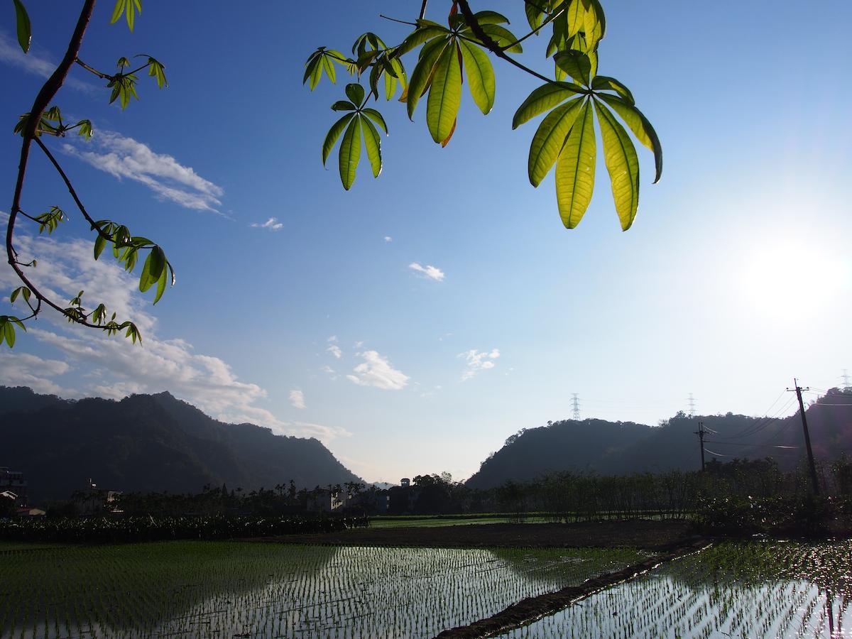 Palm Villa Guesthouse Nantou Luaran gambar