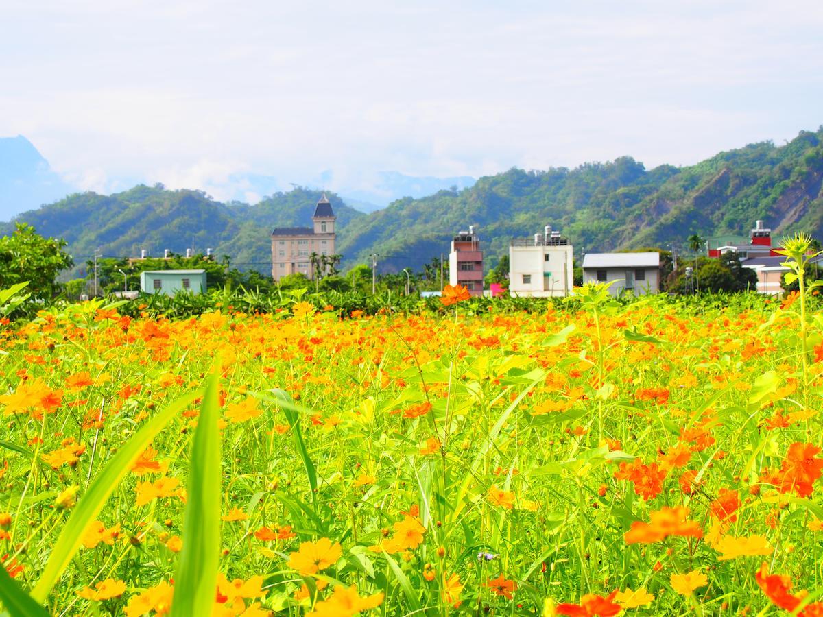 Palm Villa Guesthouse Nantou Luaran gambar